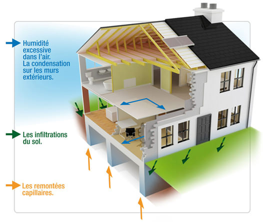 Schéma des trois voies de l'humidité dans une maison : condensation, infiltrations du sol et remontées capillaires